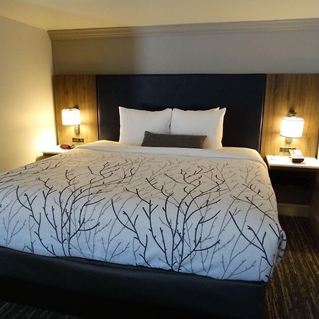 Best Western Premier Denver East Номер фото